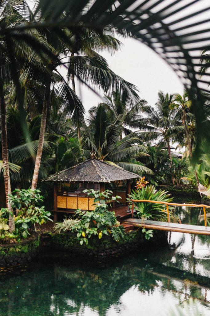 Daring Looks Celebrities Wore to Paris Fashion Week this Year